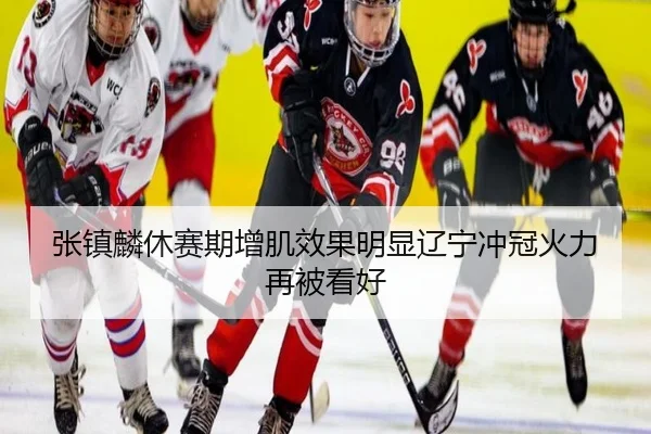 张镇麟休赛期增肌效果明显辽宁冲冠火力再被看好